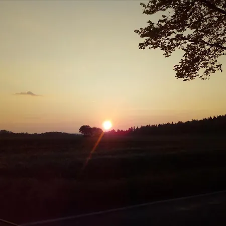 Zu Der Vogelschar * Middelhagen